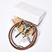 Karseer Ancient Bronzy Longhorn Bull Skull Pendant Necklace with Eagle Feather Charms & 30 Inch Dark Brown Leather Cord