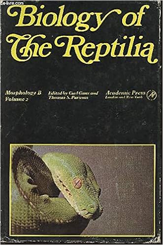 reptilia pet shop
