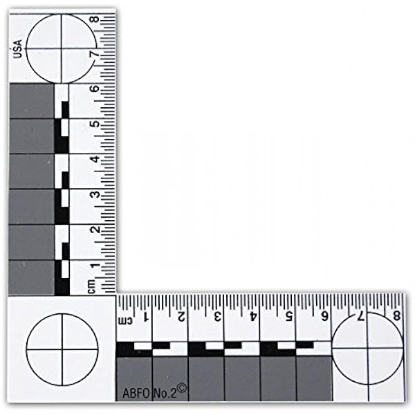 amazon com magnetic backed abfo metric photo scale office products