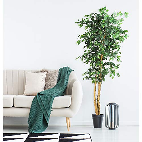 Nearly Natural 6ft. Ficus Artificial Trees, 72in, Green on Galleon