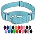 Country Brook Design - Martingale Heavyduty Nylon Dog Collar (Various Sizes & Colors) (Medium, 1 Inch Wide, Ocean Blue) primary
