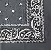 Bandanas By The Dozen 100% Cotton 12-Pack 22