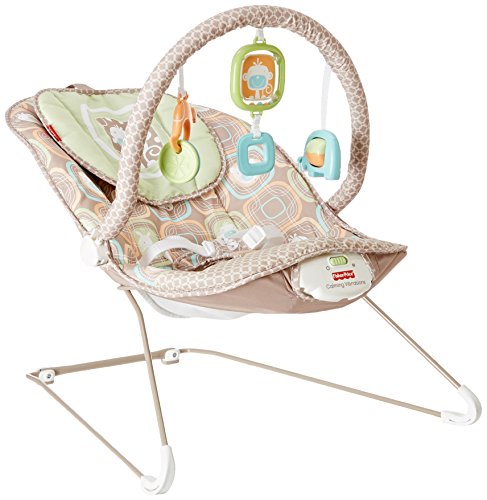 fisher price 360 bouncer
