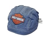 Harley-Davidson Boys Baby B&S Colored Denim Doo Rag Denim