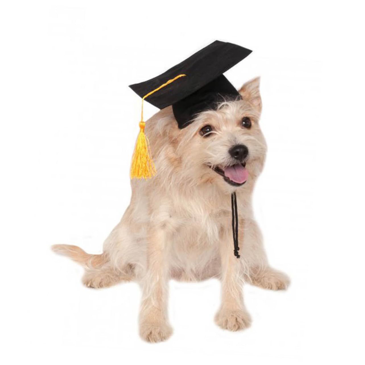 Pet Dr. Cap Hat Dog Graduation Cap Pet Dog Cat Costume