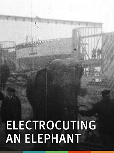 Electrocuting an Elephant