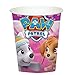 Girl Pups Paw Patrol Skye & Everest 5th Birthday Party Pack 52pc