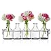 Emenest Small Glass Bud Vases for Flowers in Black Metal Rack Stand, Window-Sill Display Set of 5 Crystal Clear Flower Vase, Decorative Centerpiece for Home or Wedding
