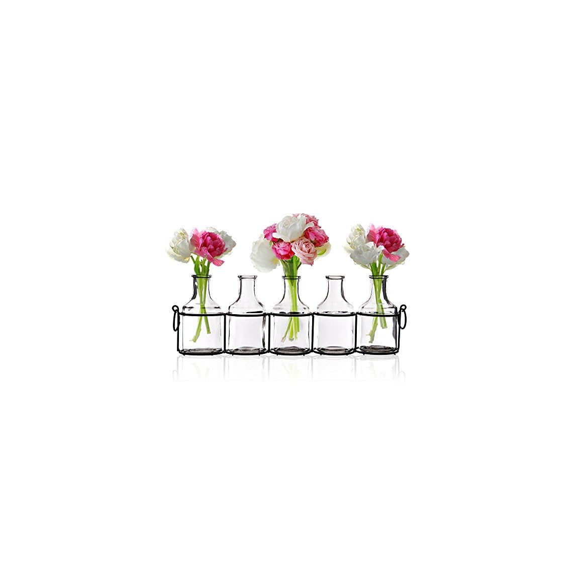 Emenest Small Glass Bud Vases for Flowers in Black Metal Rack Stand