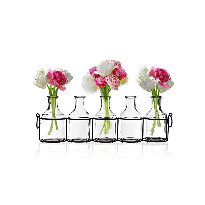 Emenest Small Glass Bud Vases for Flowers in Black Metal Rack Stand