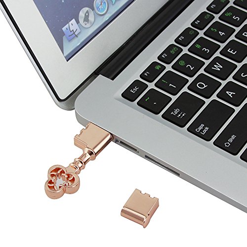 CHUYI Metal Rose Gold Key Shape 64GB USB 2.0 Flash Drive Cool Pen Drive Waterproof Memory Stick Data Storage Funny Thumb Drive U Disk Gift