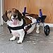 Walkin' Wheels Small Dog Wheelchair, Lightweight Dog Wheelchair for Back Legs, 11-14 lbs, for 3-6 inches Leg Height - Blue