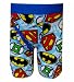 Fruit of the Loom Boys DC Comics Justice League Logo Boxer Brief
