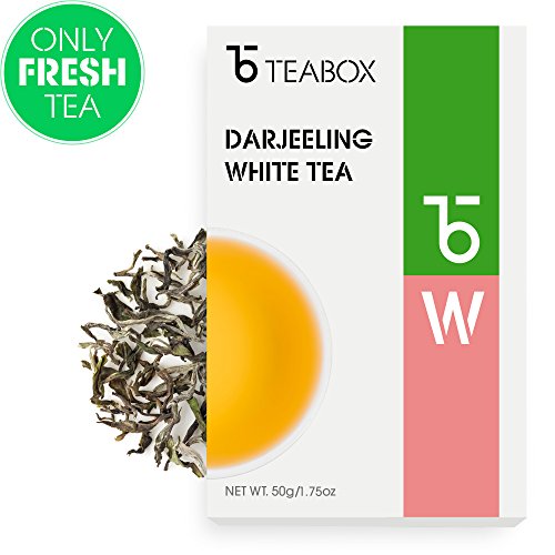 Top 6 jocko tea cans Allace Reviews