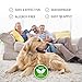Flеa Tiсk Collar Prevention Control for Dogs & Cats - Natural Herbal Non-Toxic Adjustable Flеa Collar Waterproof Protection for Large Medium Small Pet Supplies Repels Flеas Licе Tiсks Mоsquitоes