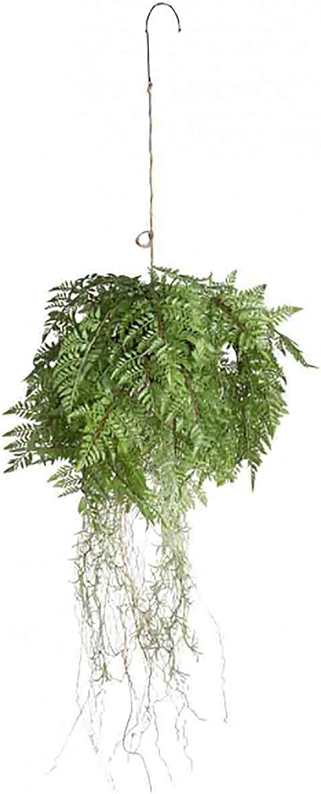 Amazon Fiorira Un Giardino インテリアグリーン ハンギング ファーン 造花 フェイクグリーン 人工観葉植物 シダ コケ玉 人工観葉植物 オンライン通販