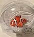 Disney Pixar ~ Nemo 3.75 Poseable Action Figure