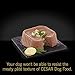 CESAR SAVORY DELIGHTS Pork Tenderloin, Roasted Potatoes & Green Beans Dog Food Trays (24), 3.5 oz. Trays