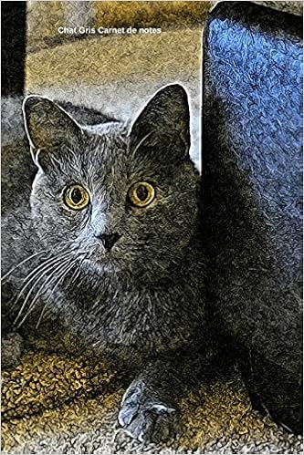Chat Gris Carnet De Notes Journal A5 Ligne Original De 119 Pages Une Belle Idee De Cadeau Pour Les Amoureux Des Animaux Amazon Co Uk Journals Papersian Books Chat Gris Carnet De Notes Journal A5 Ligne Original De 119 Pages Une Belle Idee De Cadeau Pour Les Amoureux Des Animaux Amazon Co Uk Journals Papersian Books