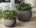 Keter Cozie Planter Set, Medium/Small, Harvest Brown