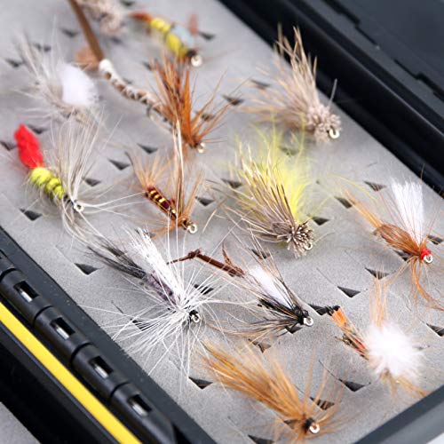 image for M MAXIMUMCATCH Maxcatch Fly Fishing Flies Kit Fly Assortment Dry/Wet F