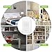amzdeal Dehumidifier for Home Small Dehumidifier Mini Electrical Quiet 700ml (24fl.oz) Capacity Suitable for Bedroom Basement Bathroom(1200 Cubic Feet or 215 sq ft) Auto Off to Remove Damp, Moisture