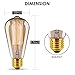 ST64 Vintage Edison Light Bulbs Dimmable 60W/110V E26/E27 Base Replacement Bulbs for Wall Sconces Lights, Pendant Light, Amber Warm & Squirrel Cage Filament Antique Light Bulb for Home Decor (8 Pack)