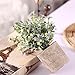 HC STAR Artificial Plant Potted Mini Fake Plant Decorative Lifelike Flower Green Plants