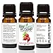 BioFinest Rosehip Oil - 100% Pure Cold-Pressed - Certified Organic - Chile Premium Rosehip Seed Oil - BEST Moisturizer for Face, Nails, Dry Hair & Skin - FREE E-Book
