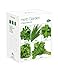 Herb Grow kit for Beginners and Experts | Grow Your Own Basil, Parsley, Chives, Oregano & Cilantro from Seed | Fun Indoor Gardening Gift for Kids and Adults | Exclusively by TotalGreen Holland