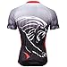 Paladin Cycling Jersey for Men Short Sleeve Lion Pattern Bike Shirt