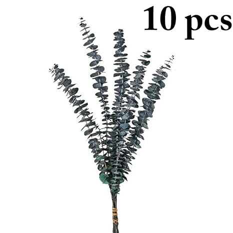 Buy Outgeek Preserved Plant Decor Unwithered Eucalyptus Branch