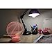 DB.WOR 3D Basketball Lamp Night Light Colorful 7 Color Changing with Multicolored USB Powered LED Light Optical Illusion Touch Table Desk Lamp Birthday Festival Gift for Bays Kids Girlfirend