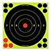 Birchwood Casey Shoot-N-C 3 Inch Round 240 Targets 600 Pasters