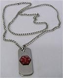 Emerg Alert Stainless Steel Medical ID Necklace - Epilepsy