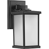 Progress Lighting 1-Light Frosted Shade Traditional Outdoor Wall Lantern Light, Trafford Non-Metallic Lantern Collection, Out