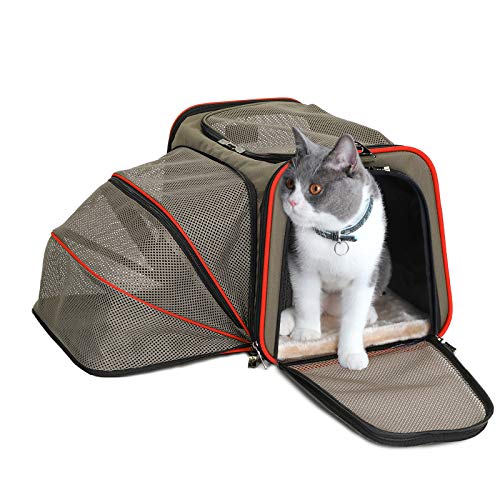 cat carrier mat