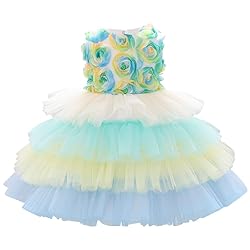 ODASDO Baby Flower Girl Dresses Infant Toddler Kids