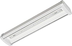 Lithonia Lighting 4 Foot LED Light