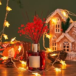 Cocorrína Reed Diffuser - Wild Berry Scented Reed