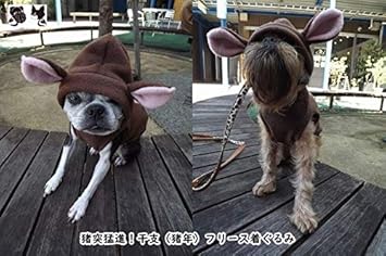 Amazon 犬服 受注生産 可愛い 干支の着ぐるみ 猪年 イノシシ フリースsdte 008 年賀状 初詣 新年 2019年 写真撮り L M R Factory コスチューム 通販