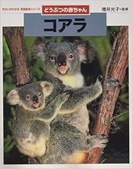 どうぶつの赤ちゃん コアラ ちがいがわかる写真絵本シリーズ 光子 増井 本 通販 Amazon