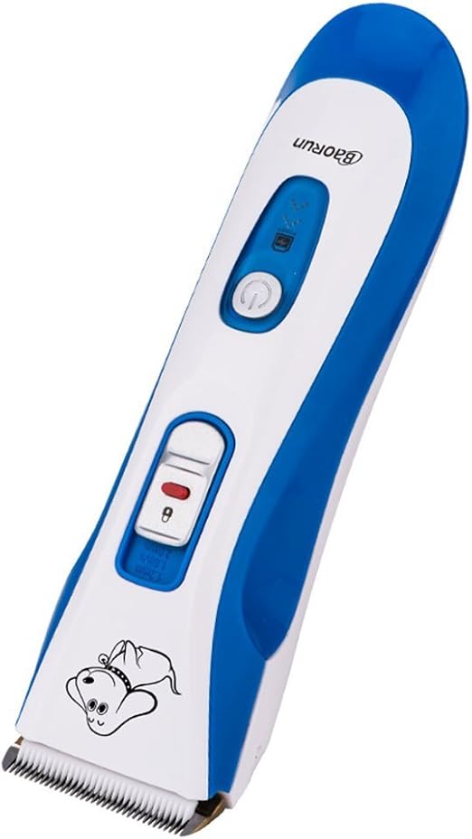 vca sandy lake animal hospital