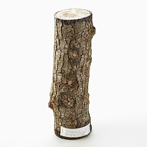 11" Skinny Girl WR Shiitake Mushroom Log Grow Amazing Edible Mushrooms Kit