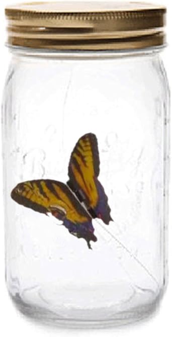 Hergon Lampe De Nuit Led Avec Papillon Anime Dans Un Bocal Lampe De Nuit Led A Piles Cadeau De Noel Pour Femmes Enfants Decoration De Table Pour Chambre De Bebe Amazon Fr Luminaires Hergon Lampe De Nuit Led Avec Papillon Anime Dans Un Bocal Lampe De Nuit Led A Piles Cadeau De Noel Pour Femmes Enfants Decoration De Table Pour Chambre De Bebe Amazon Fr Luminaires