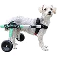 Walkin' Wheels Small Dog Wheelchair, Lightweight Dog Wheelchair for Back Legs, 11-14 lbs, for 7-8 inches Leg Height - Seafoam