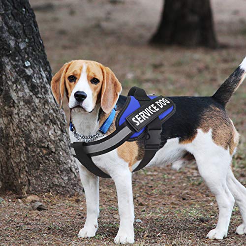 Bolux Service Dog Harness, Easy On and Off Pet Vest Harness 3M