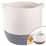 TerriTrophy 2pc Large Woven Storage Basket with