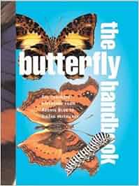 The Butterfly Handbook The Definitive Reference For Every