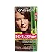 Garnier Nutrisse Herba Shine Hair Color Creme with Bamboo Extract - Light Ash Brown 610